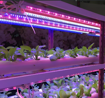 紅藍(lán)光9:1植物生長(zhǎng)燈管規(guī)格參數(shù)特點(diǎn)