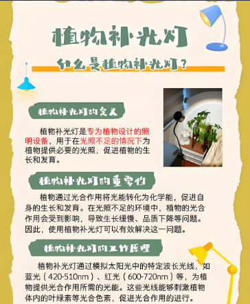 植物燈管的作用.png