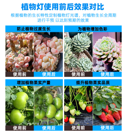 植物燈效果對(duì)比.png